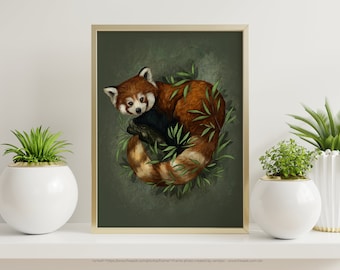 Red Panda Bear Art Print, Red Panda, Endangered animal art, panda illustration