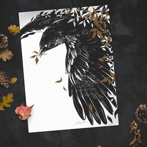 Raven Ink Art Print, Black Bird Art, Crow Illustration Print