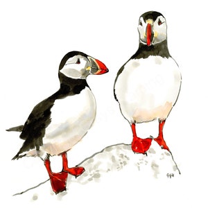Puffin Inner Farne von Gillian Gill FREE UK Porto