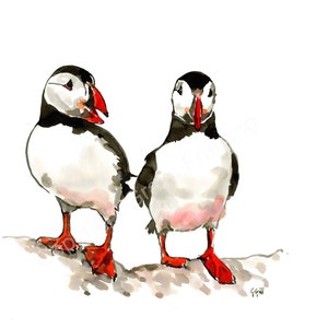 Puffin Diskussion von Gillian Gill FREE UK Porto