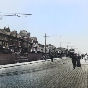 Roker Terrace FREE UK POSTAGE