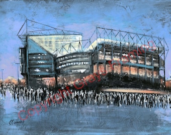 St James' Park by Chris Cummings FREE UK Postage