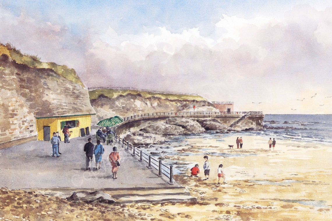 Roker Cat and Dog Steps by Ron Davidson FREE UK Postage Etsy UK