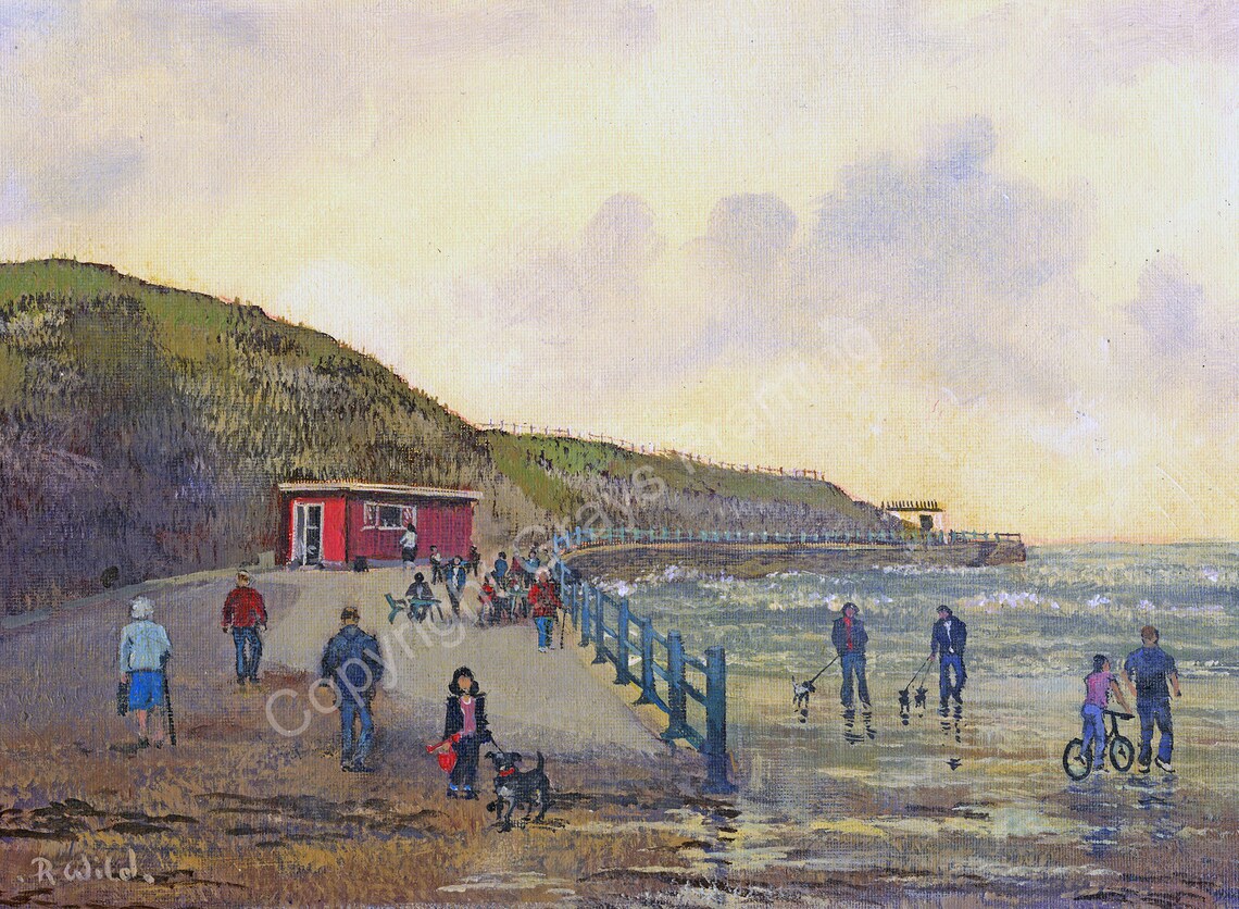 Roker Cat and Dog Steps by Robert bob Wild FREE UK Postage Etsy UK