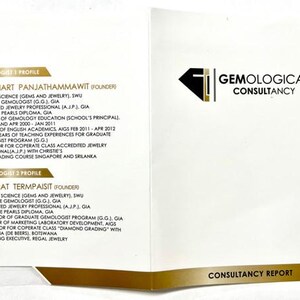 May include: An open booklet with the title "Gemological Consultancy" and a logo featuring a black diamond shape. The booklet contains detailed profiles of two gemologists, including their education, experience, and affiliations.