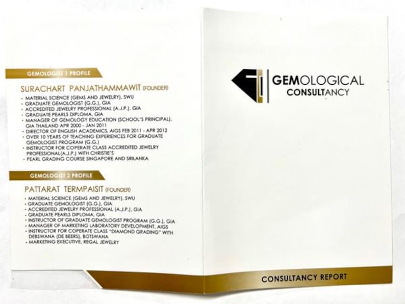 May include: An open booklet with the title "Gemological Consultancy" and a logo featuring a black diamond shape. The booklet contains detailed profiles of two gemologists, including their education, experience, and affiliations.