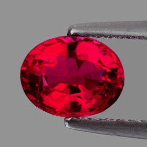 Può includere: Una gemma di rubino ovale di colore rosso vibrante, tenuta da una pinzetta.