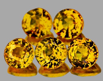 Natural Yellow Sapphire 3.5 mm 5 pieces Round Step Cut VVS Clarity Natural Gemstone Earthly Mined