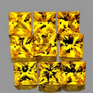 Natural Premium Intense Ceylon Yellow Sapphire 2.50 mm 9 pieces Square Princess Cut VVS Clarity Natural Gemstone Earthly Mined