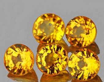 Natural Yellow Sapphire 3.5 mm 5 pieces Round Step Cut VVS Clarity Natural Gemstone Earthly Mined