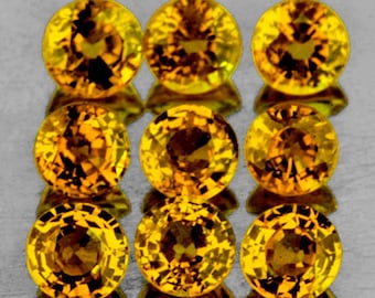 Natural Yellow Sapphire 3.2 mm 9 pieces Round Step Cut VVS Clarity Natural Gemstone Earthly Mined