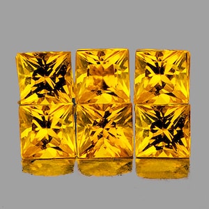 Natural Premium Intense Ceylon Yellow Sapphire 2.8 mm 6 pieces Square Princess Cut Flawless-VVS Clarity Natural Gemstone Earthly Mined
