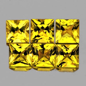 Natural Premium Ceylon Yellow Sapphire 2.8 mm 6 pieces Square Princess Cut Flawless-VVS Clarity Natural Gemstone Earthly Mined