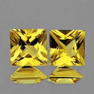 Natural Premium Ceylon Yellow Sapphire 3.7 mm 2 pieces Square Princess Cut Flawless-VVS Clarity Natural Gemstone Earthly Mined