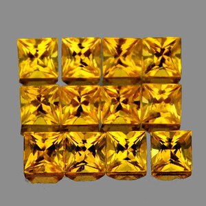 Natural Intense Golden Yellow Sapphire 2.4 mm 12 pcs Square Princess Loose Gemstone [VVS]