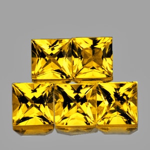 Natural Premium Intense Ceylon Yellow Sapphire 3.2 mm 5 pieces Square Princess Cut Flawless-VVS Clarity Natural Gemstone Earthly Mined