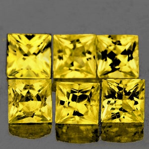 Natural Premium Ceylon Yellow Sapphire 2.8 mm 6 pieces Square Princess Cut Flawless-VVS Clarity Natural Gemstone Earthly Mined