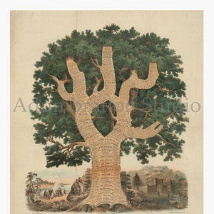 May include: A vintage illustration of a tree with a trunk made of text. The text is a chronological chart of American history, dedicated to the people of the United States. The tree is surrounded by a landscape with a river, a boat, and a castle.