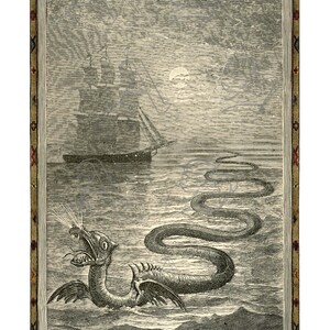 May include: Black and white illustration of a sea serpent in the ocean with a ship in the background. The serpent has a long, winding body and a dragon-like head, with the text "Sea Serpent" and "Hans Egidius" at the bottom.