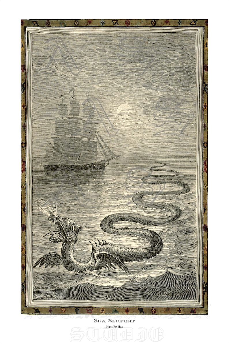May include: Black and white illustration of a sea serpent in the ocean with a ship in the background. The serpent has a long, winding body and a dragon-like head, with the text "Sea Serpent" and "Hans Egidius" at the bottom.