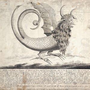 Peruvian Harpy, by Louis-Alexandre Boutelou, 18th century French Etching, Supernatural, Bizarre, Unique Gift, Obscure Archival Giclée Print