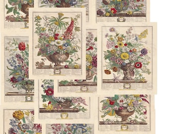 Puede incluir: Una colección de grabados botánicos vintage con arreglos florales coloridos en urnas ornamentadas. Los grabados muestran una variedad de flores en tonos rojos, amarillos, azules y morados, con ilustraciones detalladas y un estilo clásico.
