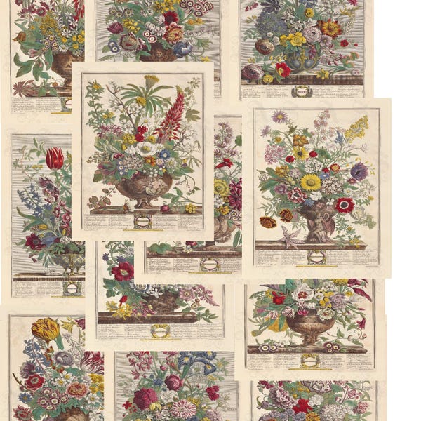 The Twelve Months of Flowers Folio, Buy 1 - 12 Prints, ALL 12 MONTHS, Robert Furber, Pieter Casteels 18th Century Engravings, Giclée Prints