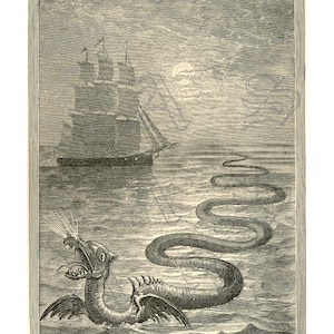 May include: An antique black and white illustration of a sea serpent in the ocean. A ship sails in the background under a moonlit sky. The sea serpent has a long, serpentine body and a dragon-like head, with wings and a gaping mouth.