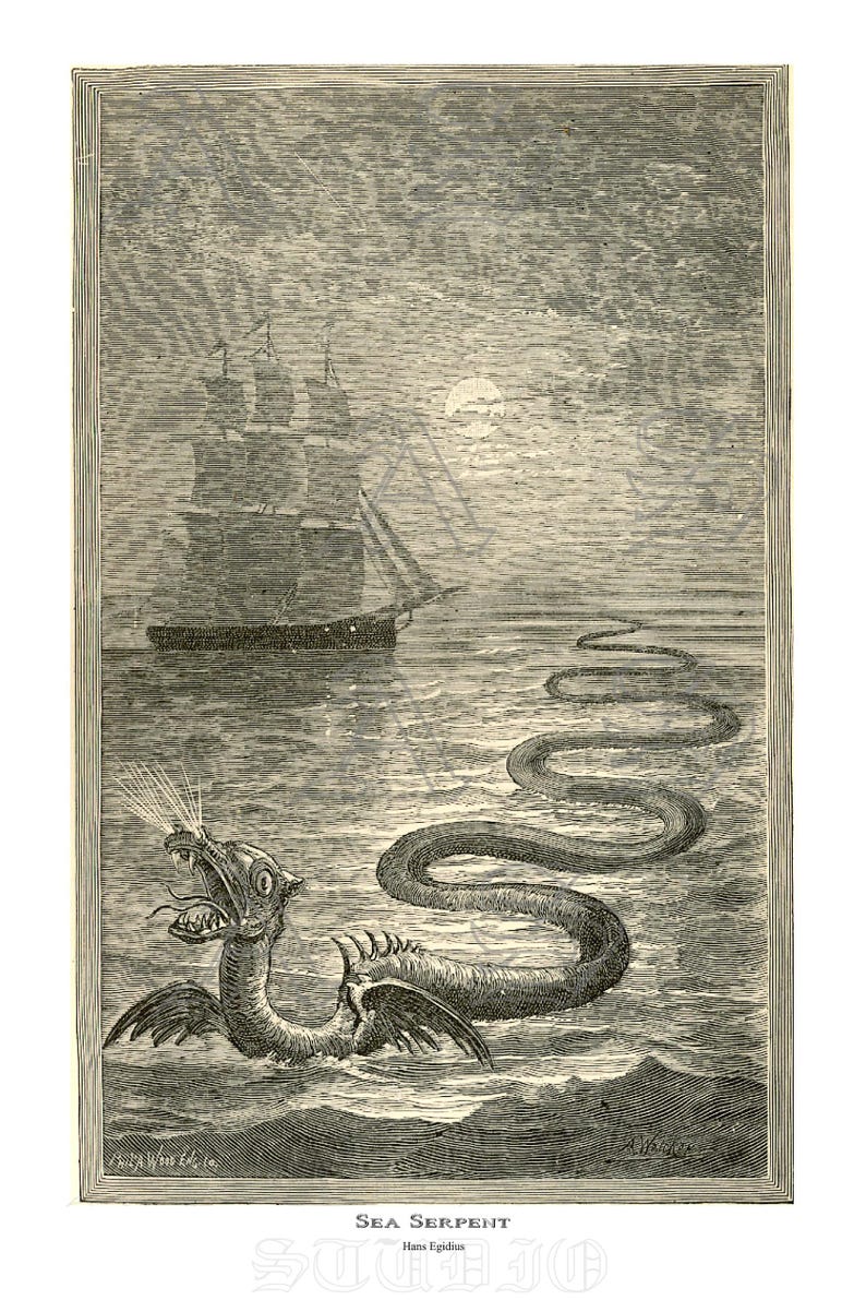 May include: An antique black and white illustration of a sea serpent in the ocean. A ship sails in the background under a moonlit sky. The sea serpent has a long, serpentine body and a dragon-like head, with wings and a gaping mouth.