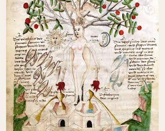 Reina de la Alquimia, Árbol de la Vida, Sol y Luna, Pájaros, Libro Alquímico de la Santísima Trinidad, Alquimia Espiritual, siglo XV. Impresión Giclée de archivo.