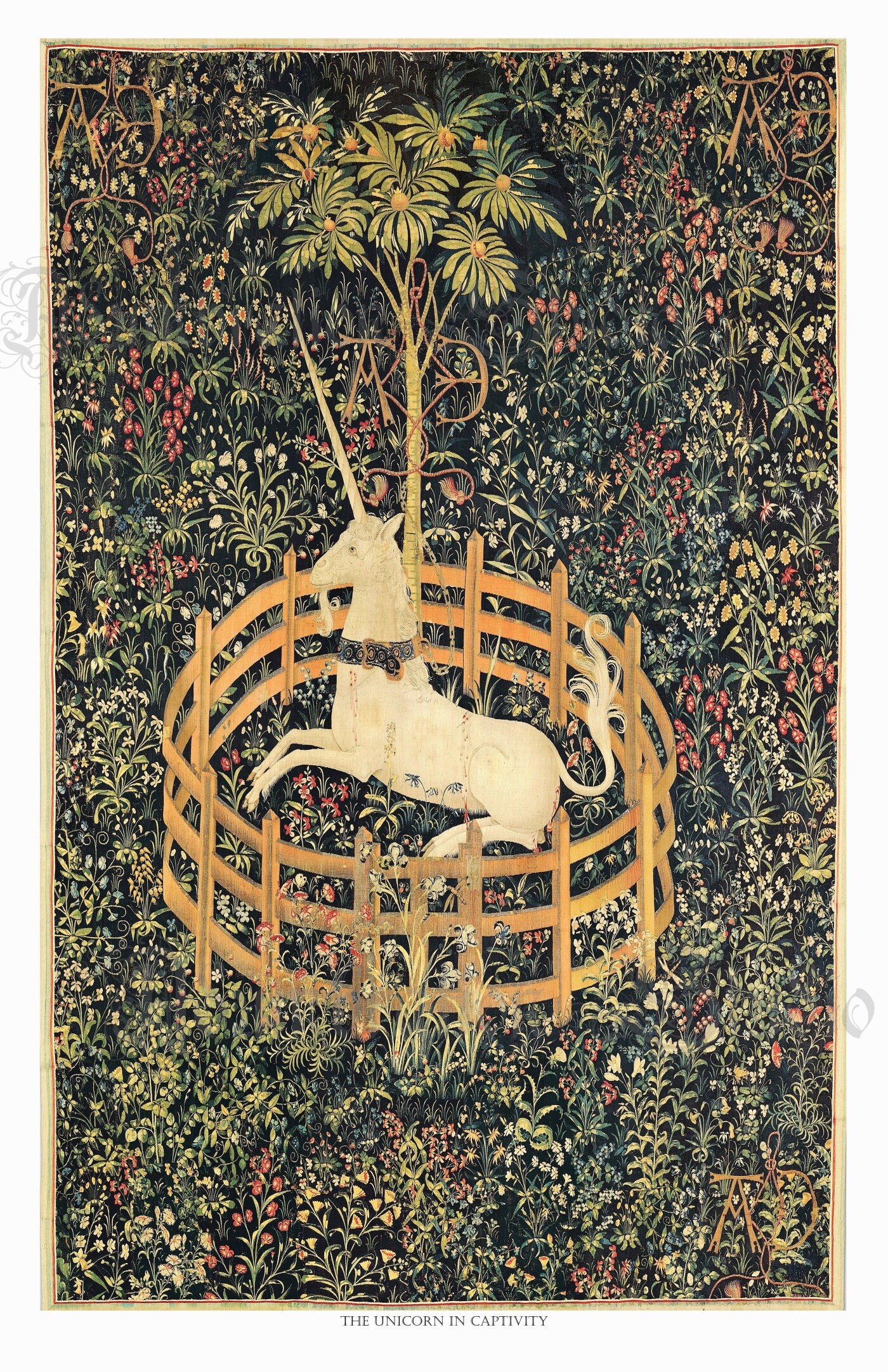 Unicorn in captivity print sales