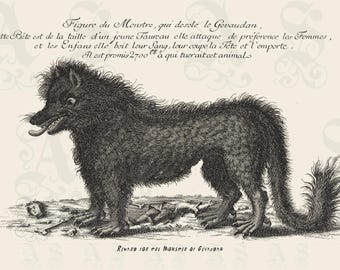 Werewolf of Gévaudan Reward Poster, ca. 1764, Actual Wanted Poster for the 'Monster' of Gévaudan, Archival Giclée Print