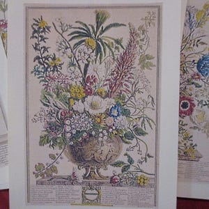 The Twelve Months of Flowers Folio Gift Set of 12 Petite Prints, Digital Prints, All Twelve Months, Robert Furber, INSTANT DOWNLOAD