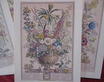 Los Doce Meses de Flores Folio Regalo Conjunto de 12 Impresiones Petite, Impresiones Digitales, Todos los Doce Meses, Robert Furber, DESCARGA INSTANTE