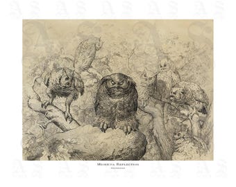 Minerva reflexionando, William Holbrook Beard, Escenario forestal, Búhos posados ​​en ramas, Ave nocturna, Impresión giclée de archivo