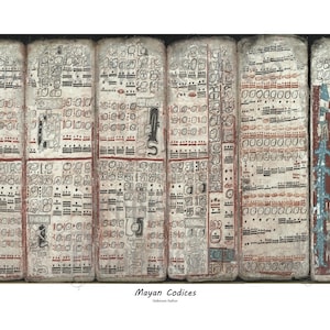 May include: A close-up of a series of ancient Mayan codices, or books, with intricate glyphs and illustrations. The codices are made of a parchment-like material and are in a state of preservation. The codices are a valuable source of information about Mayan culture and history.