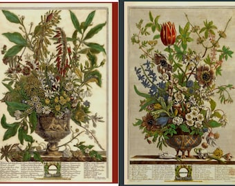 All Twelve Months of Flowers Journal & Bookmark Gift Set, Pick your Month, 7"x10," Robert Furber, Pieter Casteels Engravings, Diary, Holiday
