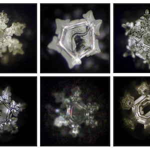 May include: Six close-up images of intricate, symmetrical snowflake crystals. The snowflakes are all different shapes and sizes, but they all have a delicate, crystalline structure.