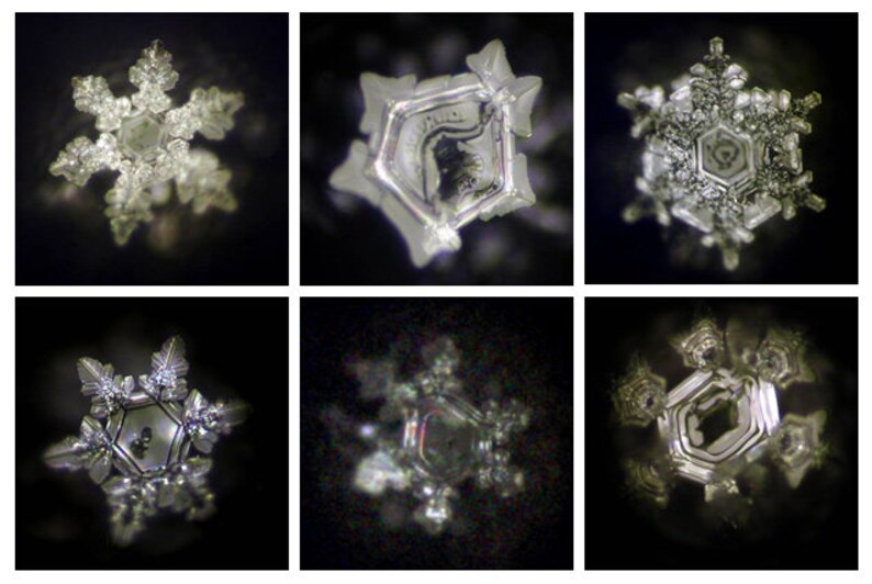 May include: Six close-up images of intricate, symmetrical snowflake crystals. The snowflakes are all different shapes and sizes, but they all have a delicate, crystalline structure.