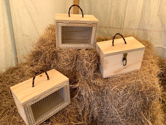 Barn hunt store supplies