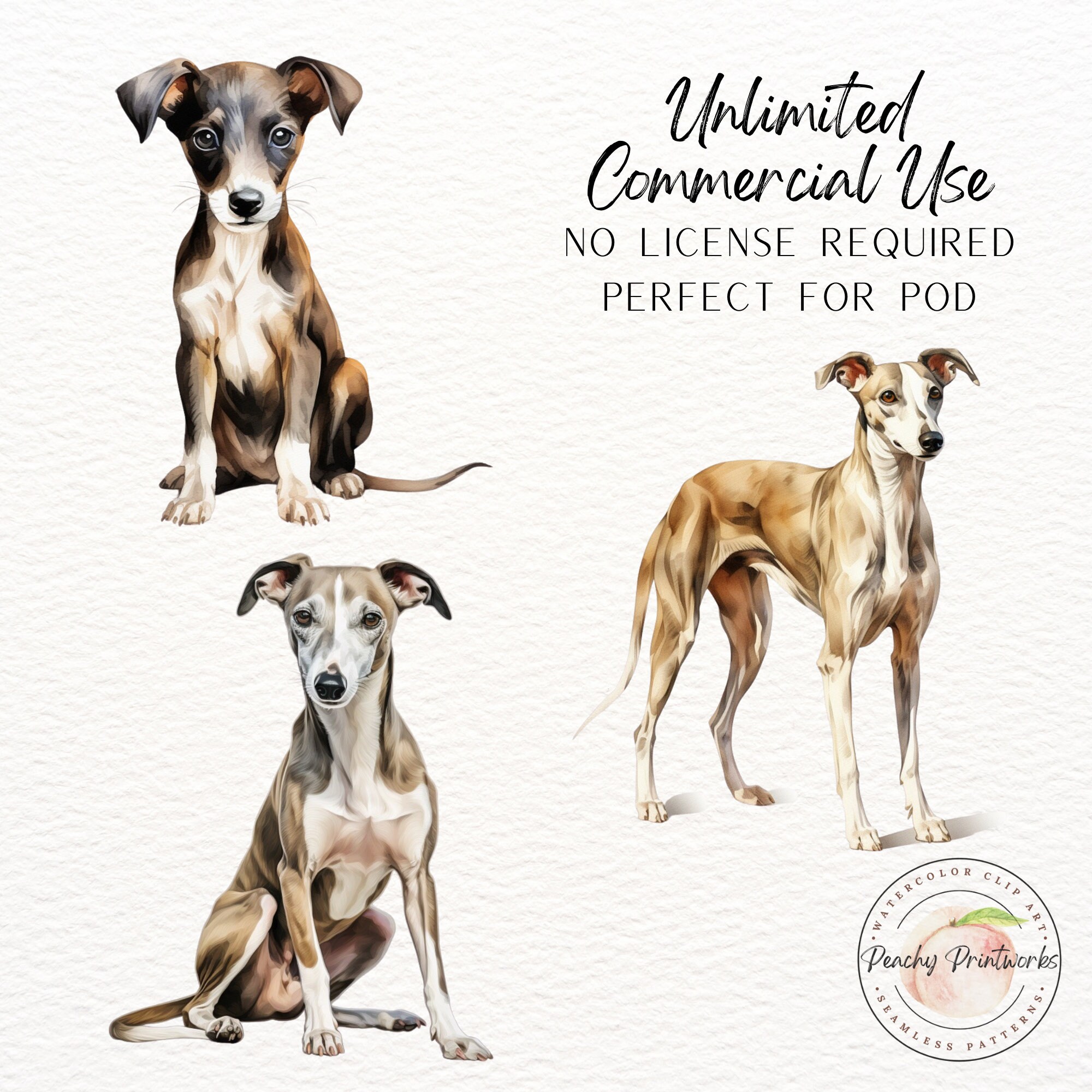 Whippet Watercolor Clipart | Dog SVG | Puppy PNG | Mans Best Friend ...