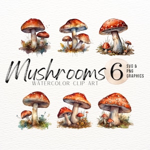 Lot de cliparts Champignons | Aquarelle champignon SVG | Clipart champignon | Fourrage PNG | Aliments transparents SVG | Clipart forêt | Utilisation commerciale