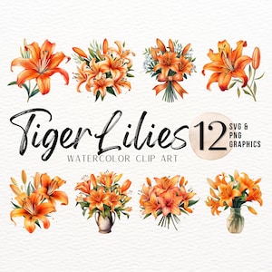 Tijgerlelie aquarel ClipArt bundel | PNG-afbeelding met bloemen | SVG-afbeelding wilde bloemen | Sublimatieontwerp | Oranje bloem kunstafdruk decor