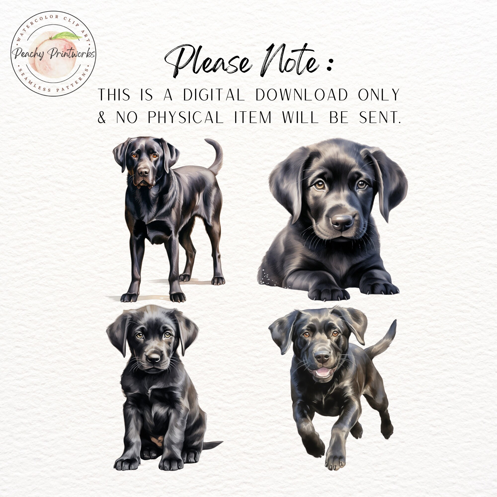 Black Lab Watercolor Clipart | Dog SVG | Puppy PNG | Mans Best Friend ...
