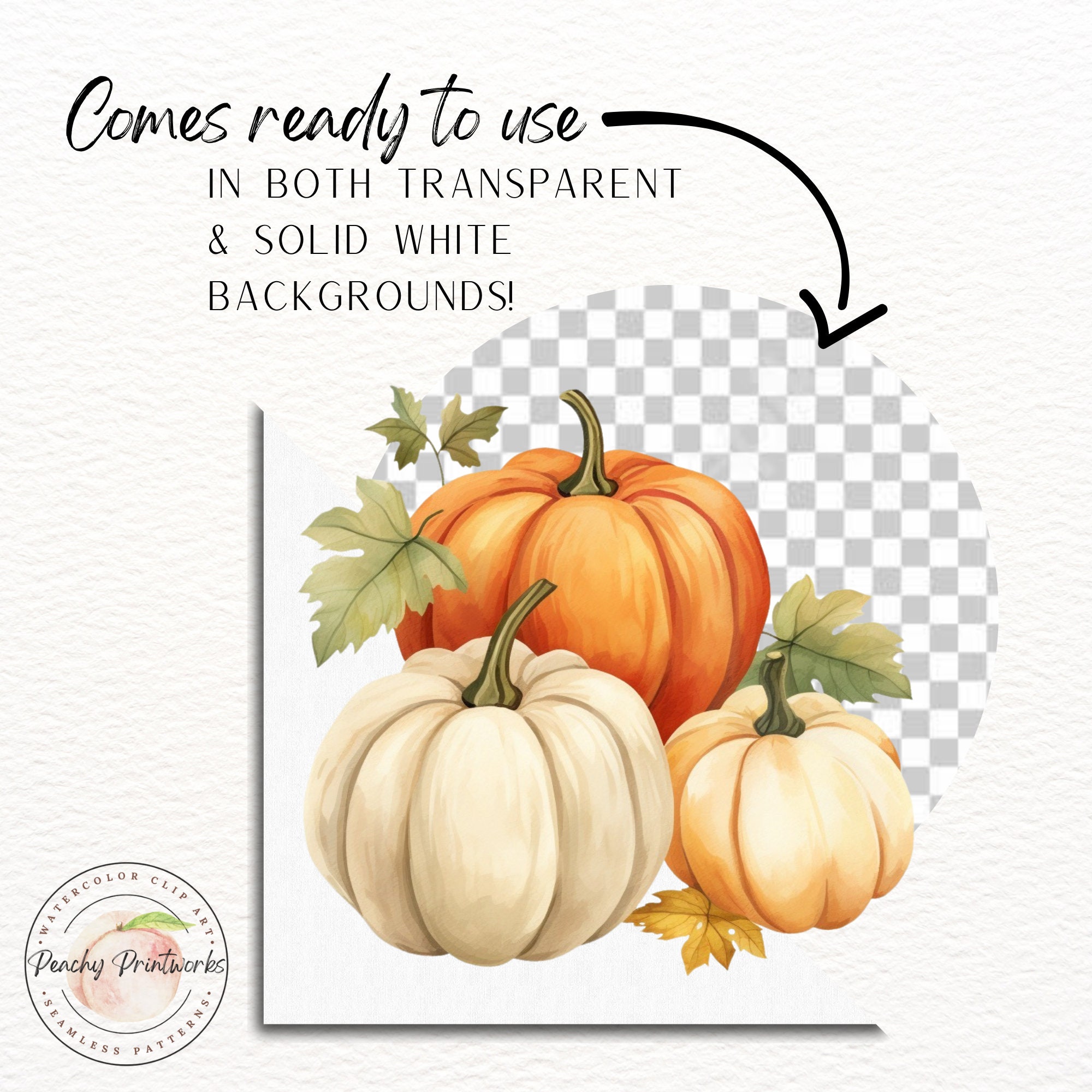 Neutral Fall Pumpkin Watercolor Clipart Bundle | Cream Pumpkin PNG ...