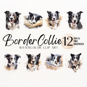Border Collie Watercolor Clip Art | Dog SVG | Puppy PNG | Mans Best Friend Sublimation Design | Fur Baby Junk Journal Graphics | Transparent