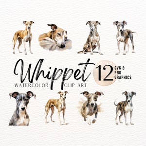 Clipart aquarelle de whippet | Chien SVG | Chiot PNG | Meilleur ami du Mans | Graphique à sublimation Whippet | Petit carnet de voyage lévrier PNG