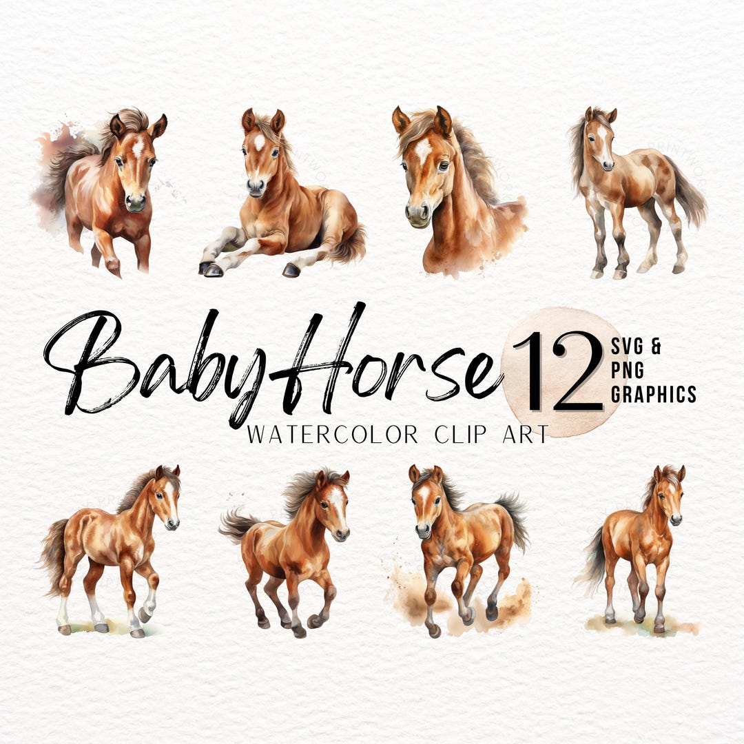 Colt Graphics Watercolor Colt Graphics Foal Clipart Cute Baby Horse Nursery Art Print ...