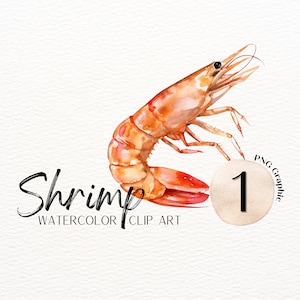 SHRIMP : Single Graphic, Clip Art, Digital Graphics, Graphics Transparent Background, No Background, Clip Art Set, Food Art, Shrimp Image