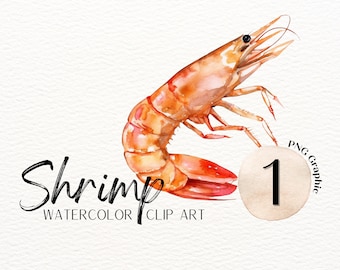 SHRIMP : Single Graphic, Clip Art, Digital Graphics, Graphics Transparent Background, No Background, Clip Art Set, Food Art, Shrimp Image